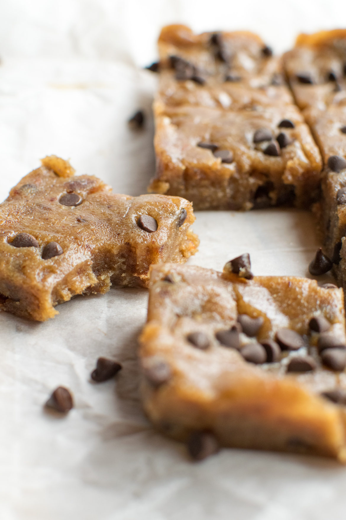 Easy 5 Ingredient Healthy No Bake Date Cookie Bars Recipe (vegan ...
